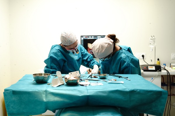 Docteur Caroline MARGUET
